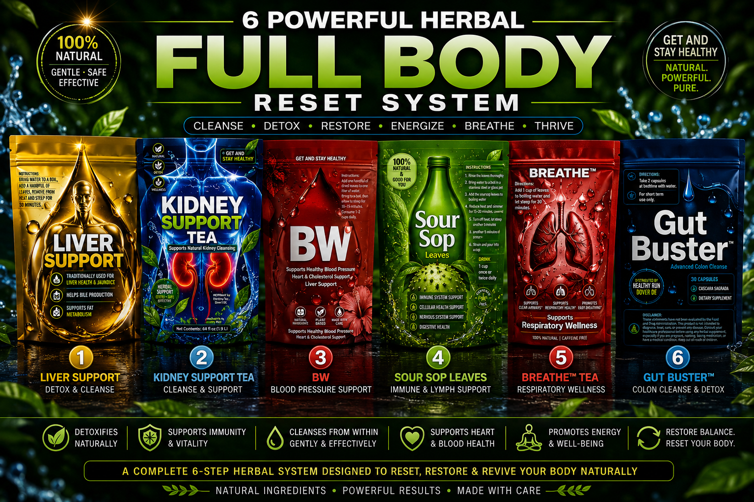 Full Body Reset System - 6 Powerful Herbal Blends - 1 Complete Reset Support System